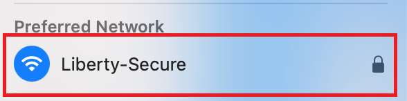 Image - Connect to Liberty-Secure